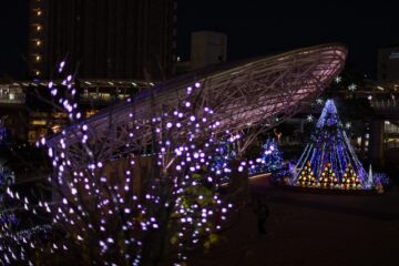 刈谷市の綺麗なイルミネーションの風景